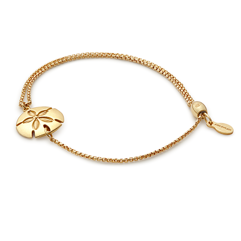 Sand Dollar Pull Chain Bracelet T-Shirts