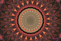 Peach Pink Flowery Kaleidoscope Print Unisex , , , Long Sleeve Tee