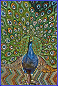 Peacock Mural Print Unisex , , , Long Sleeve Tee