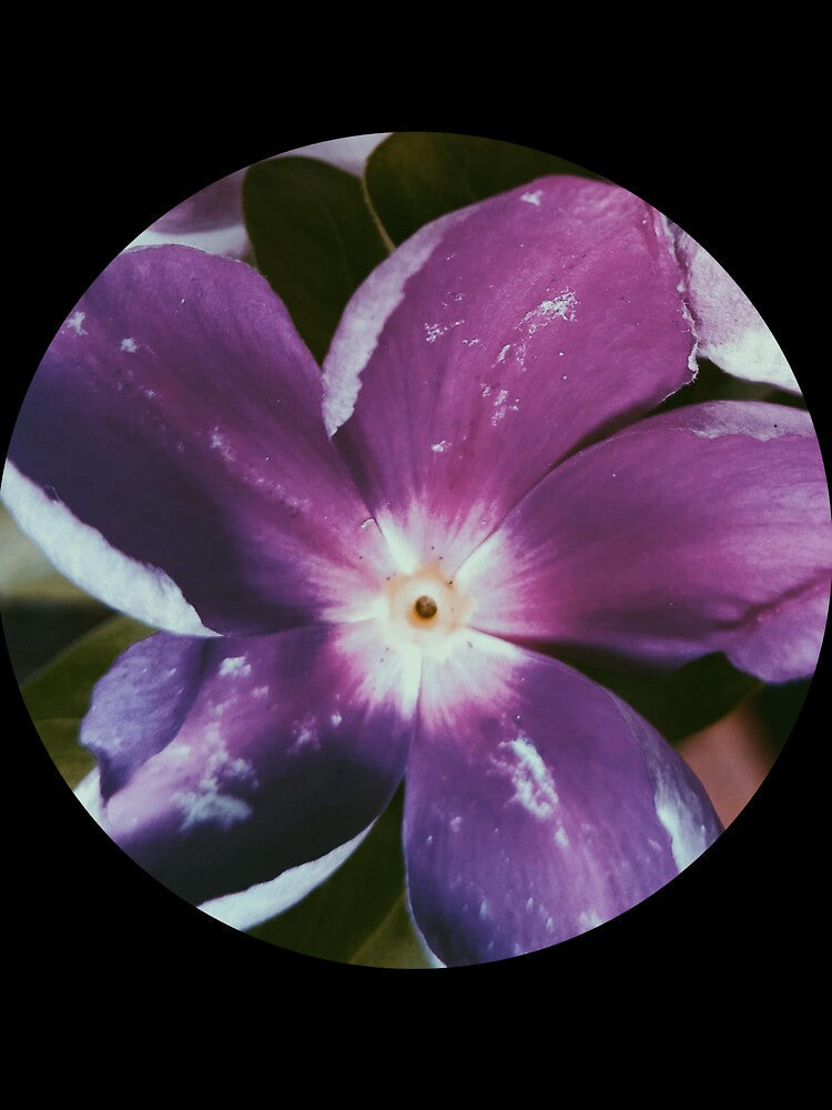 Purple flower. by Chanisa Ar Unisex , , , Long Sleeve Tee