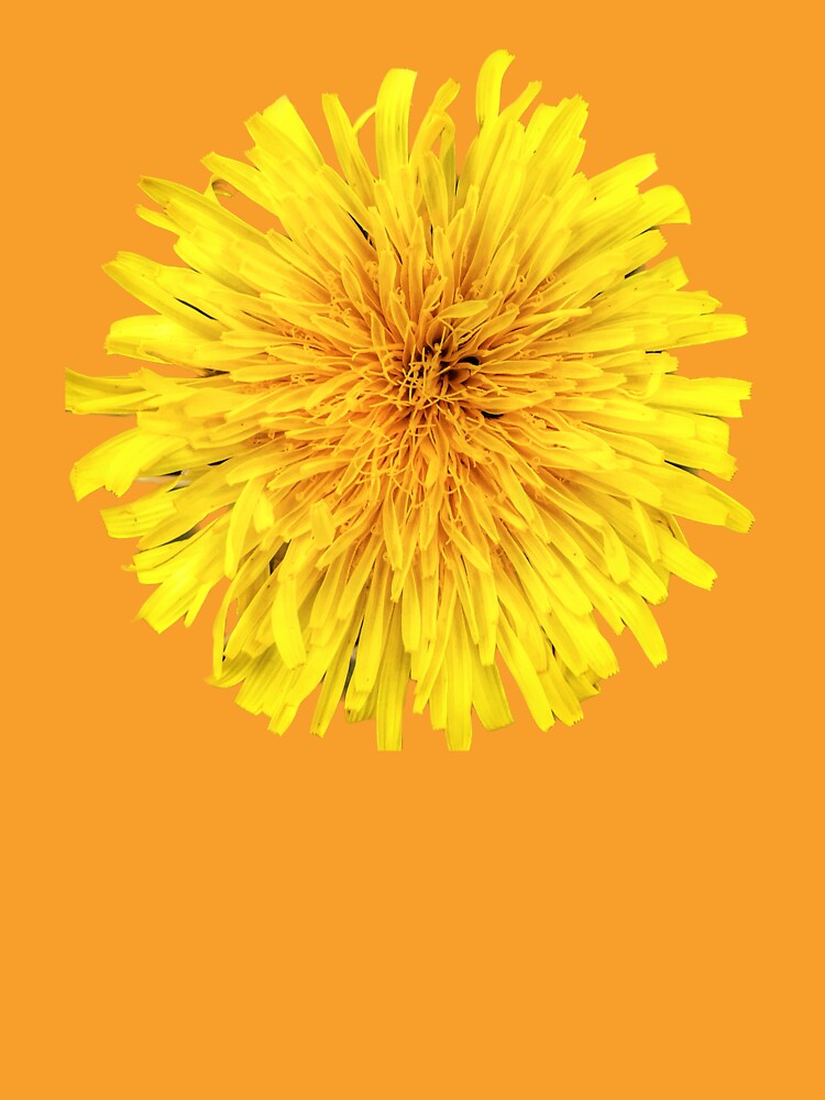 Big Sunny Yellow Dandelion by Beardsall-Art Unisex , , , Long Sleeve Tee