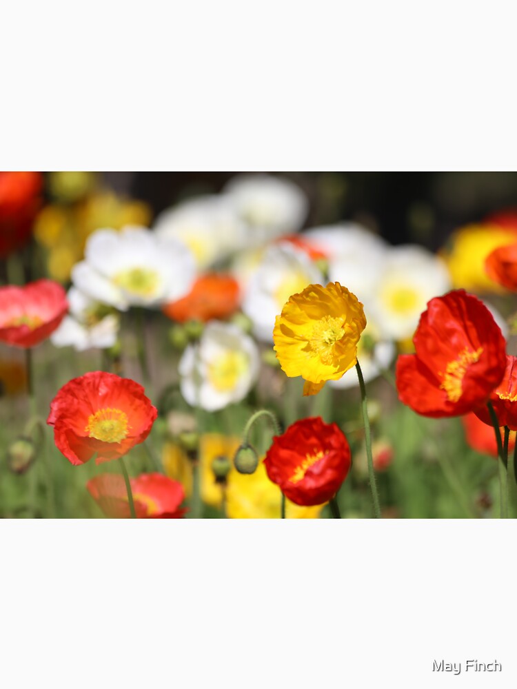 Iceland Poppies by May Finch Unisex , , , Long Sleeve Tee