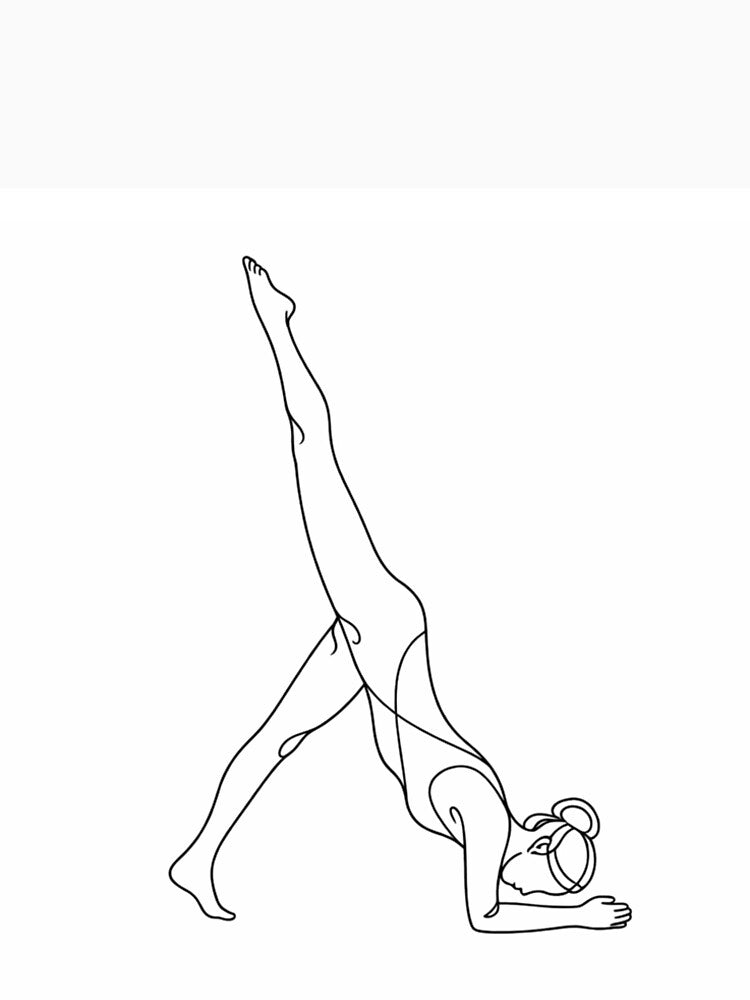 One Legged Dolphin Yoga Line Art by BlairWynne Unisex , , , Long Sleeve Tee