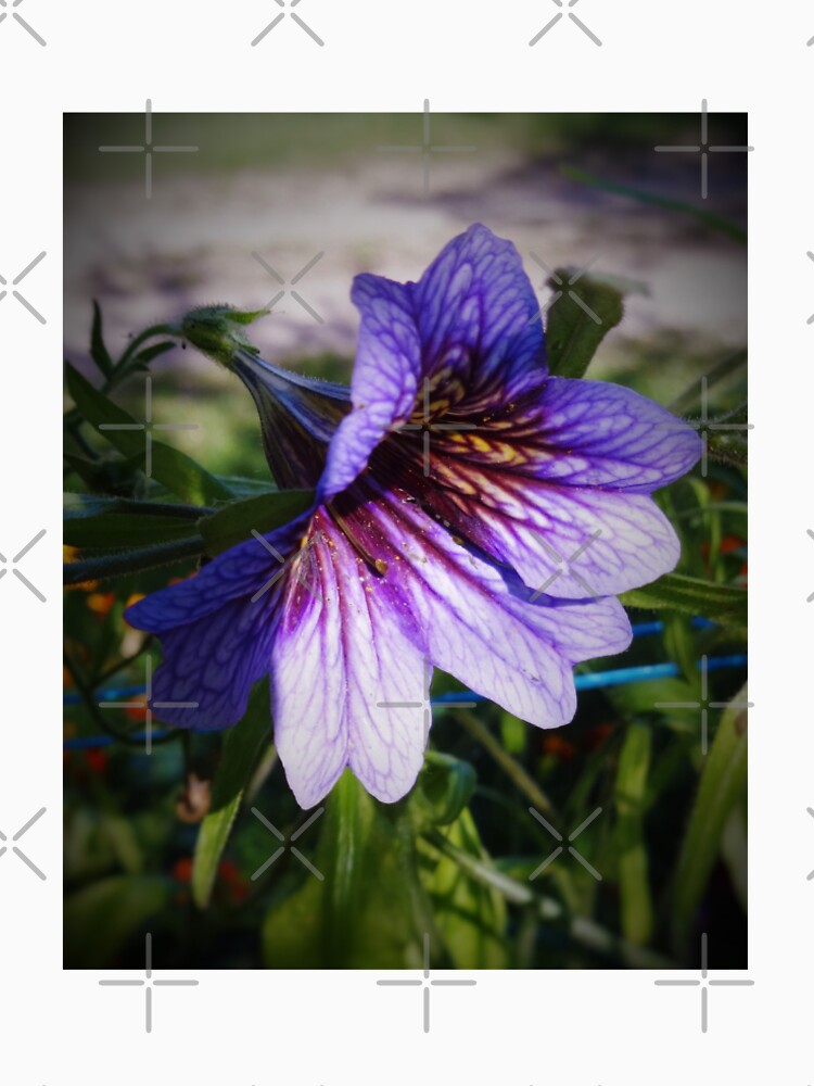 Beautiful flower with purple covers by cowgirltracie Unisex , , , Long Sleeve Tee