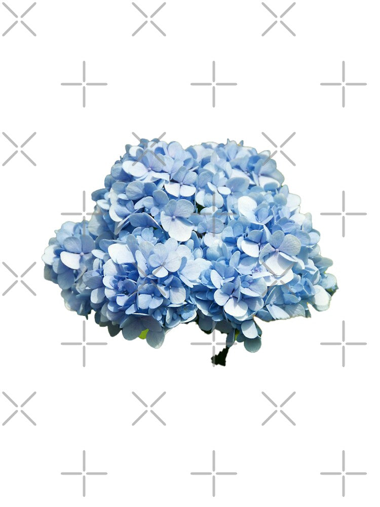 blue hydrangea by rinamg Unisex , , , Long Sleeve Tee