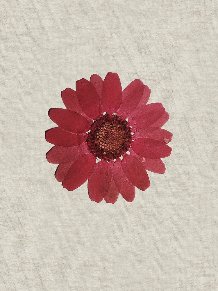 Pressed Red Daisy Botanical Flower sticker by sanjana8504 Unisex , , , Long Sleeve Tee