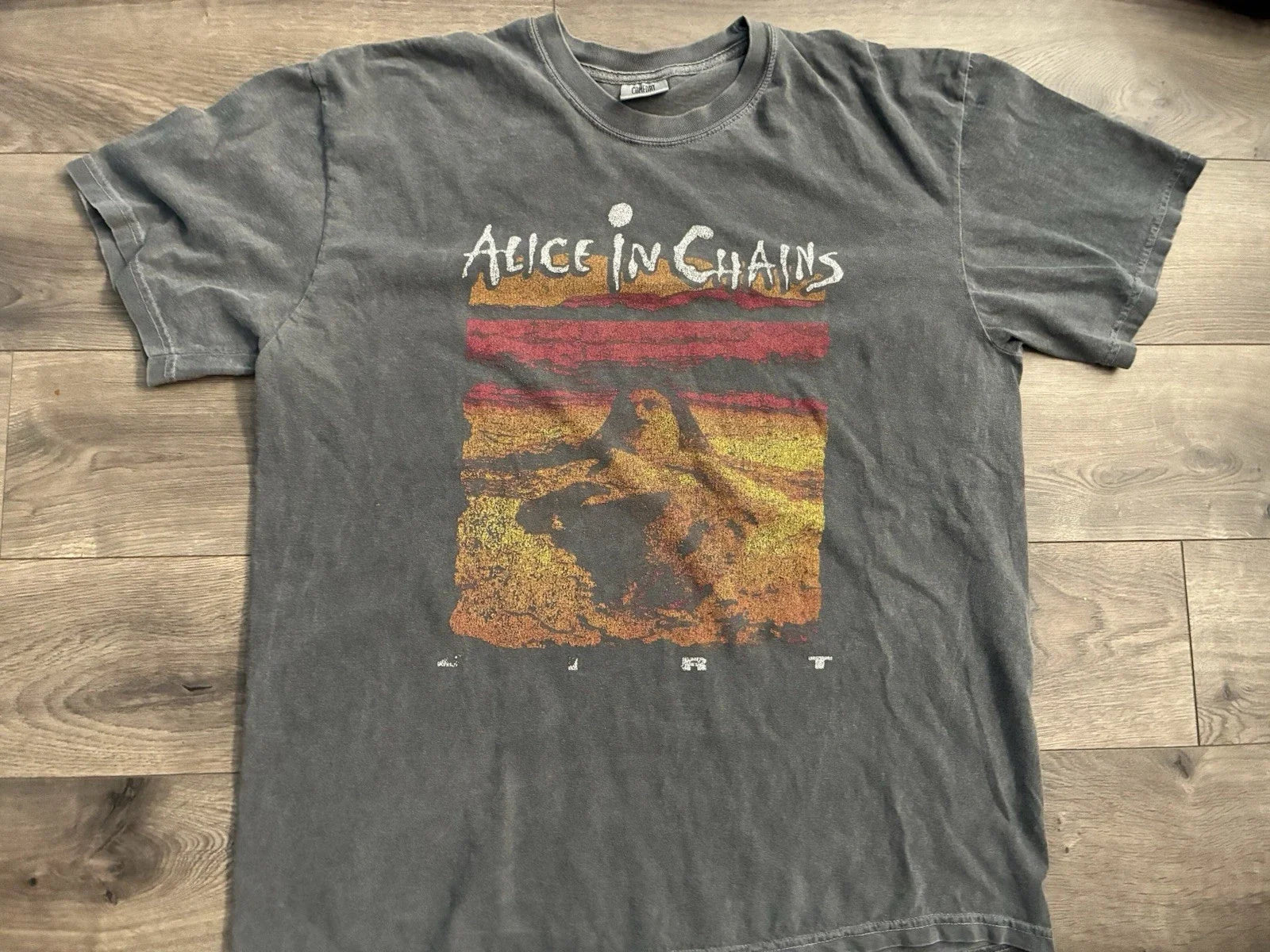 Alice In Chains Dirt Album Art Music Faded Distressed XL band Tee Grunge Unisex , , , Long Sleeve Tee