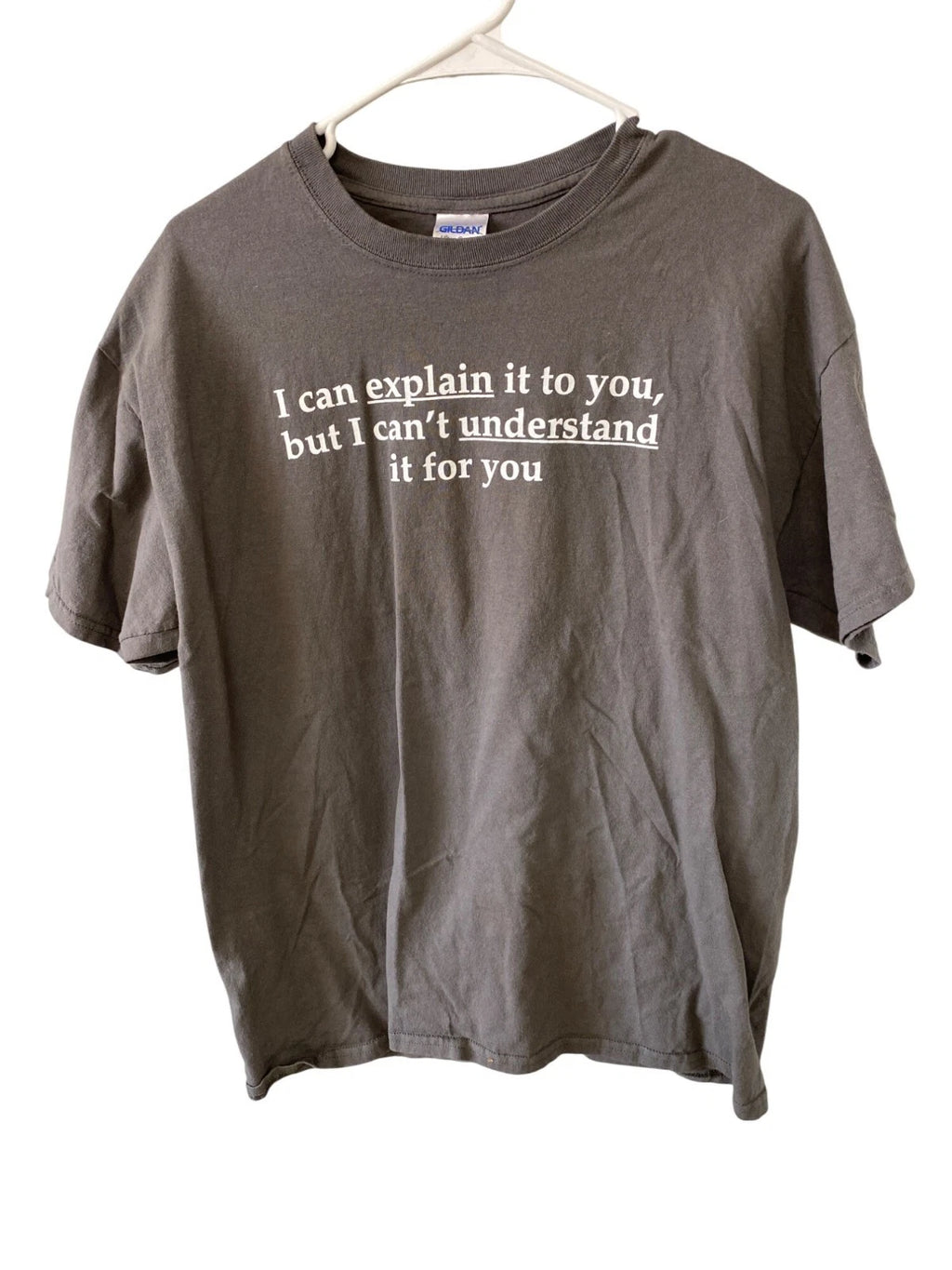 Cotton Graphic T-Shirt Large Gray "I Can Explain It To You But... Funny