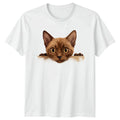 Cute Curious Cat Peeking Cat Lover Animal Birthday Gift For Him And Her Unisex , , , Long Sleeve Tee