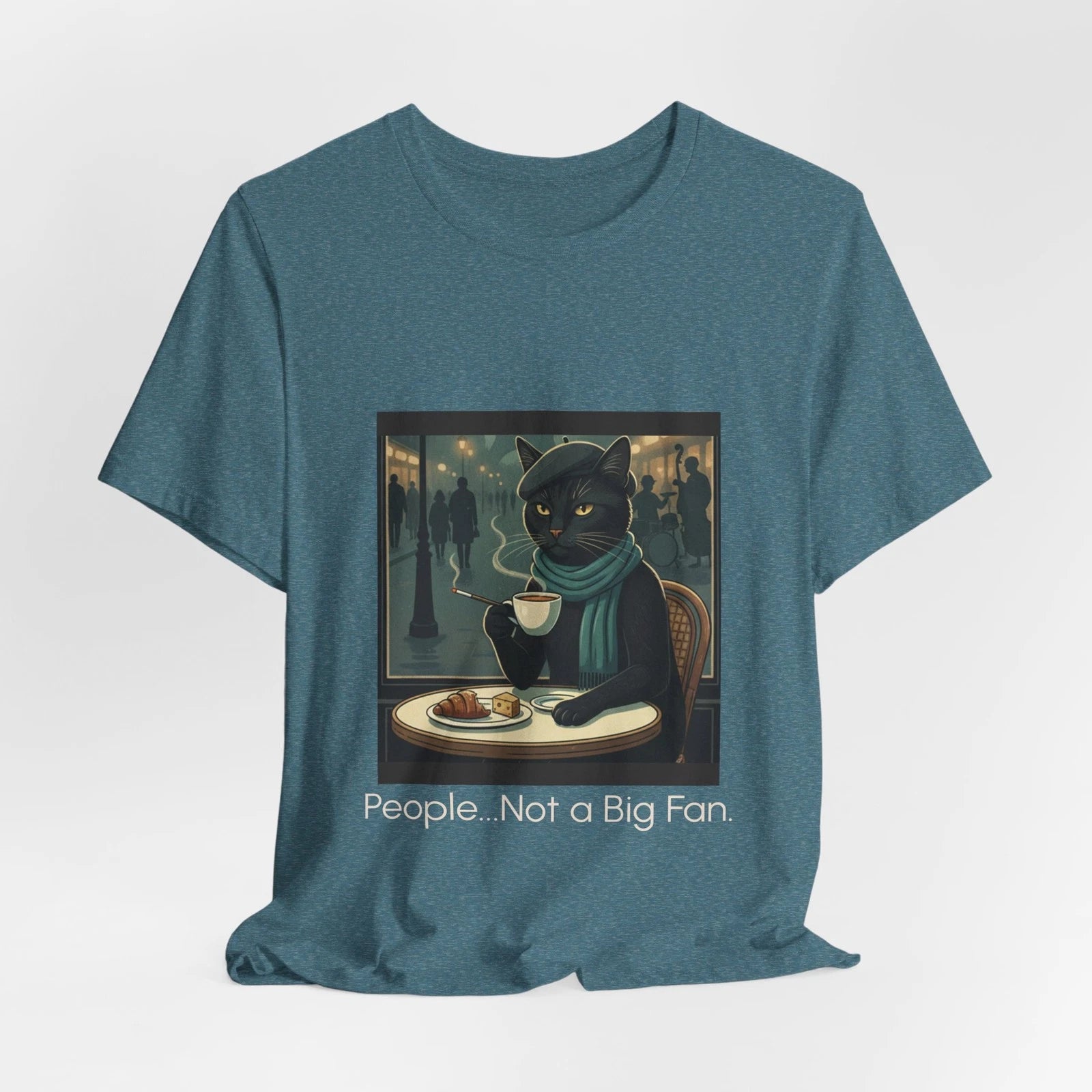 Black Cat Café Illustration Sarcastic Kitty Tee People..Not a Big Fan Cat Shirt