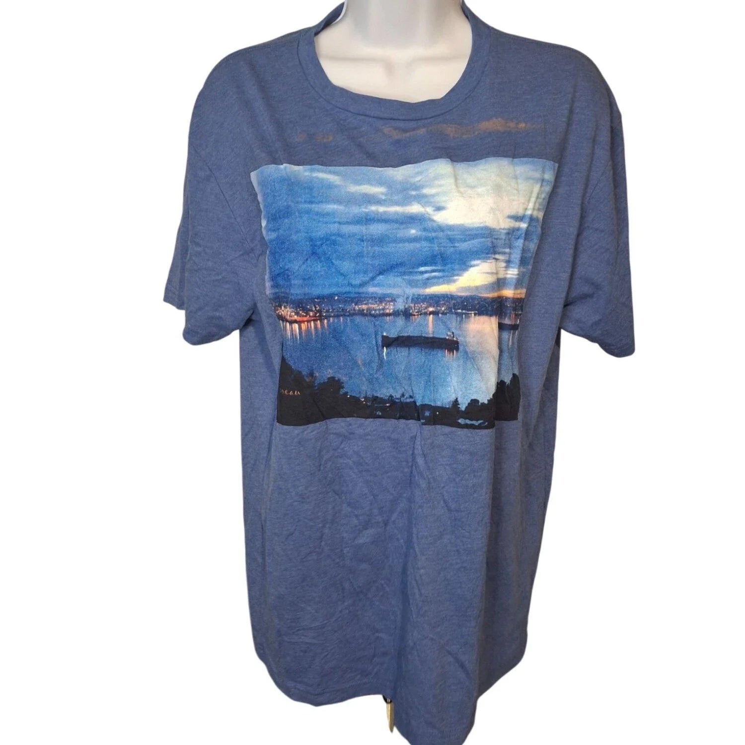 Next Level Blue Scenic Graphic Tee Large Soft Grunge Indie Minimalist Shirt Unisex , , , Long Sleeve Tee