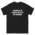 Smells Like Slut In Here - Funny / Party Streetwear Aesthetic Classic Tee Unisex , , , Long Sleeve Tee