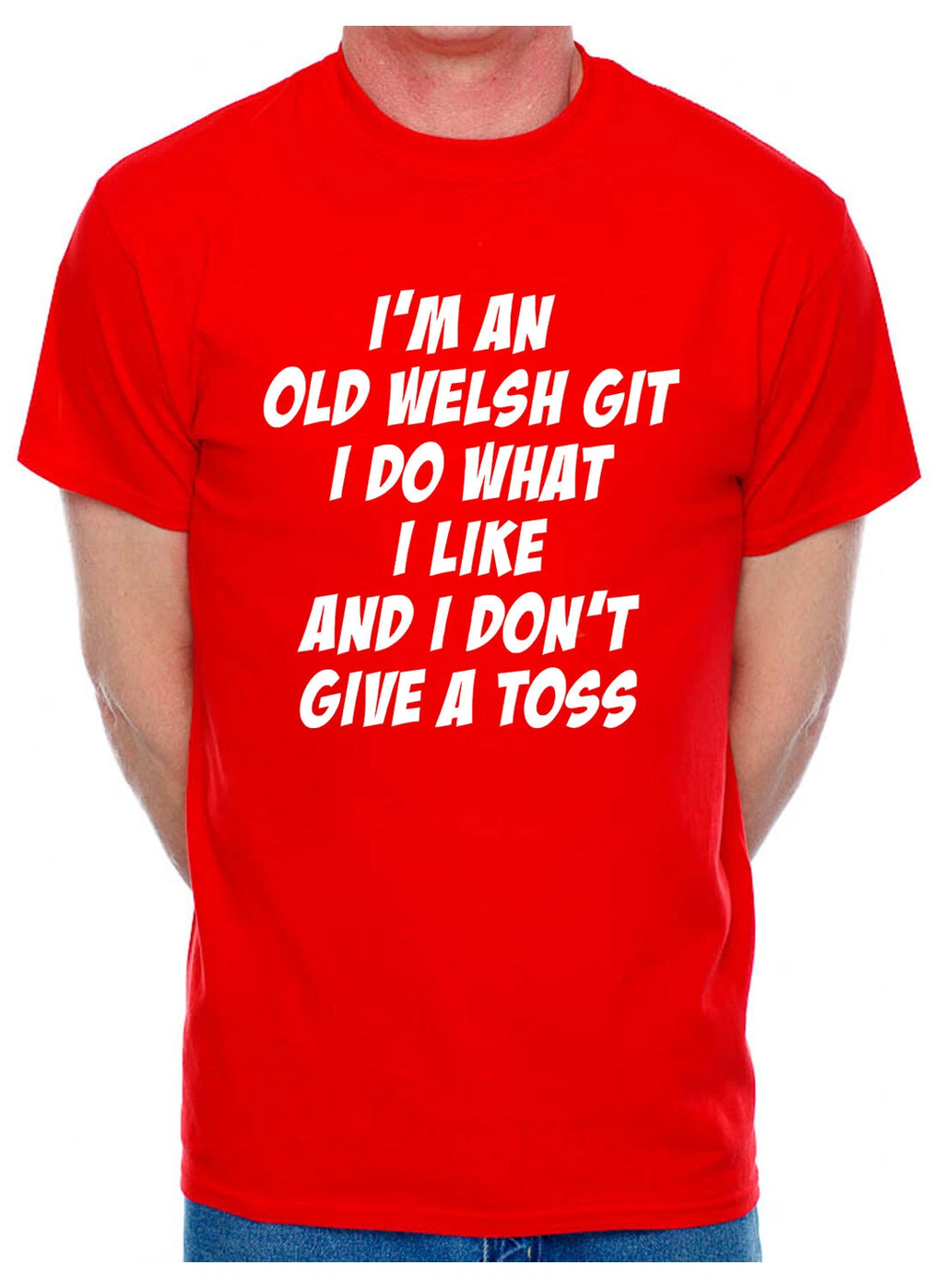 I'm An Old Welsh Git Wales Birthday Retirement Present Funny Mens T-Shirt