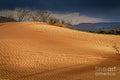 Sand Dune Print Unisex , , , Long Sleeve Tee