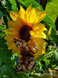 Sunflower And Butterfly Print Unisex , , , Long Sleeve Tee