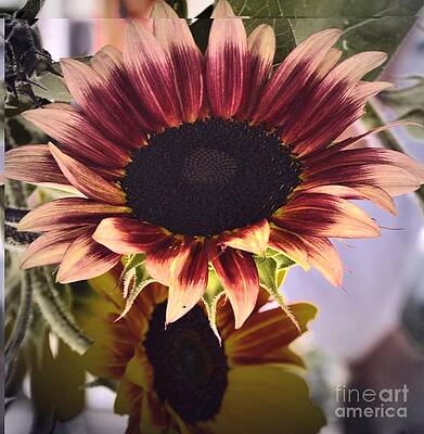 Sunflower Beauty Print Unisex , , , Long Sleeve Tee