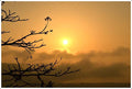 Sunrise To Remember Print Unisex , , , Long Sleeve Tee