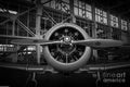 T6 Texan Print Unisex , , , Long Sleeve Tee