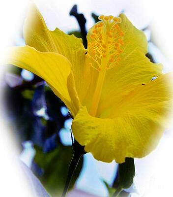 Yellow Hibiscus Print Unisex , , , Long Sleeve Tee